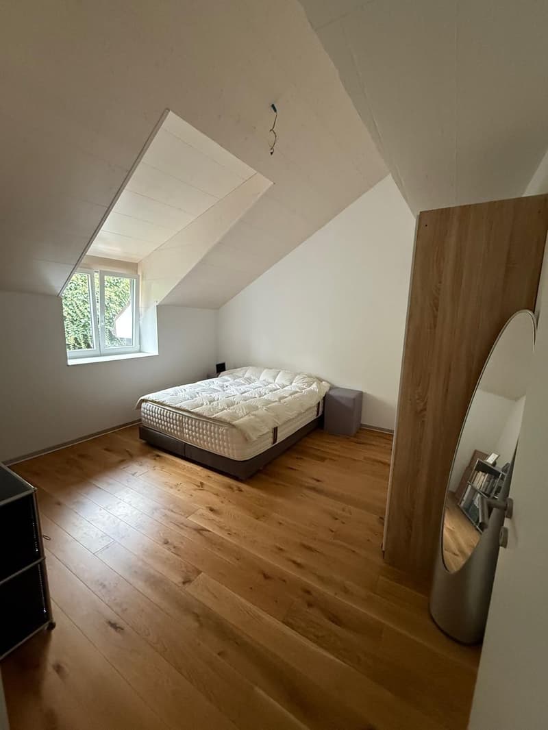 Apartment with 3.5 rooms and lake view (6)