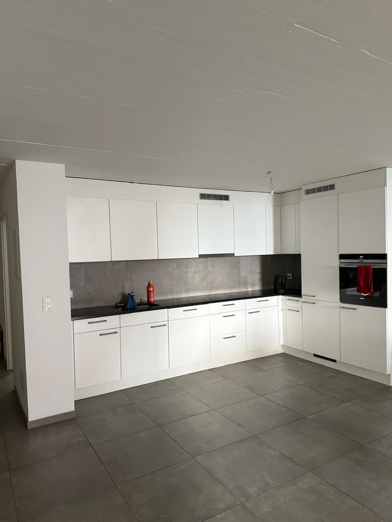 Apartment with 3.5 rooms and lake view (3)