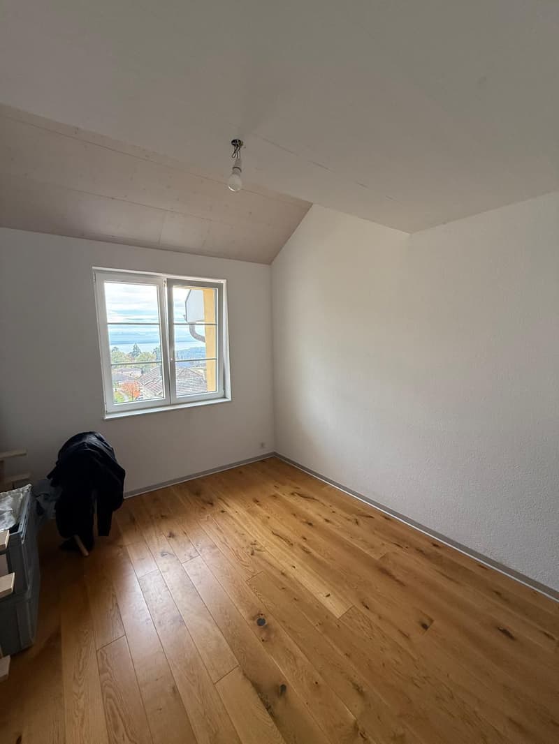 Apartment with 3.5 rooms and lake view (5)