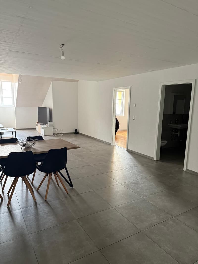 Apartment with 3.5 rooms and lake view (4)