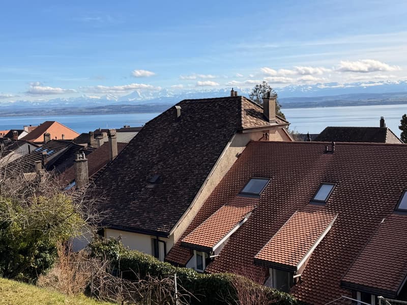 Appartement de 3.5 pièces avec vue sur le lac (10)