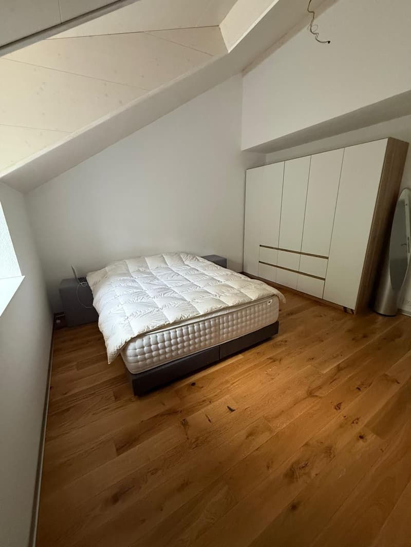 Apartment with 3.5 rooms and lake view (9)