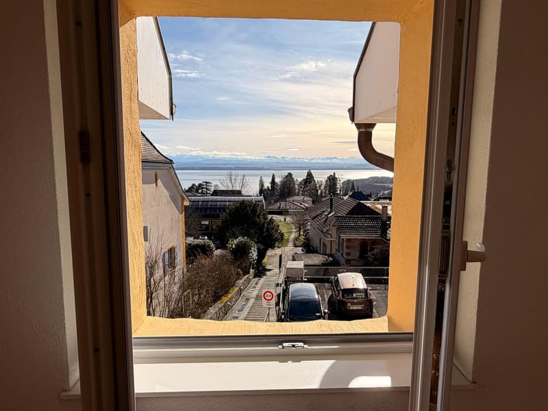 Appartement de 3.5 pièces avec vue sur le lac (5)