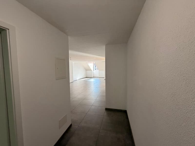 Appartement de 3.5 pièces avec vue sur le lac (11)