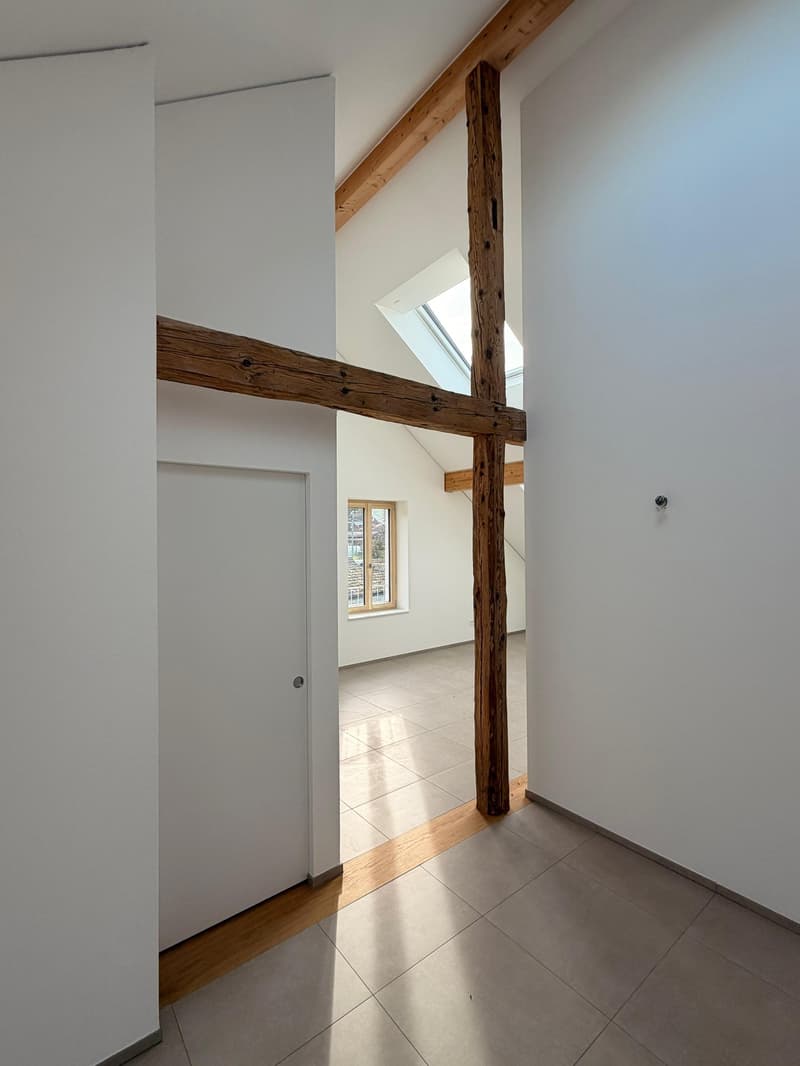Magnifique appartement de 4 pièces neuf à Châtillon (8)