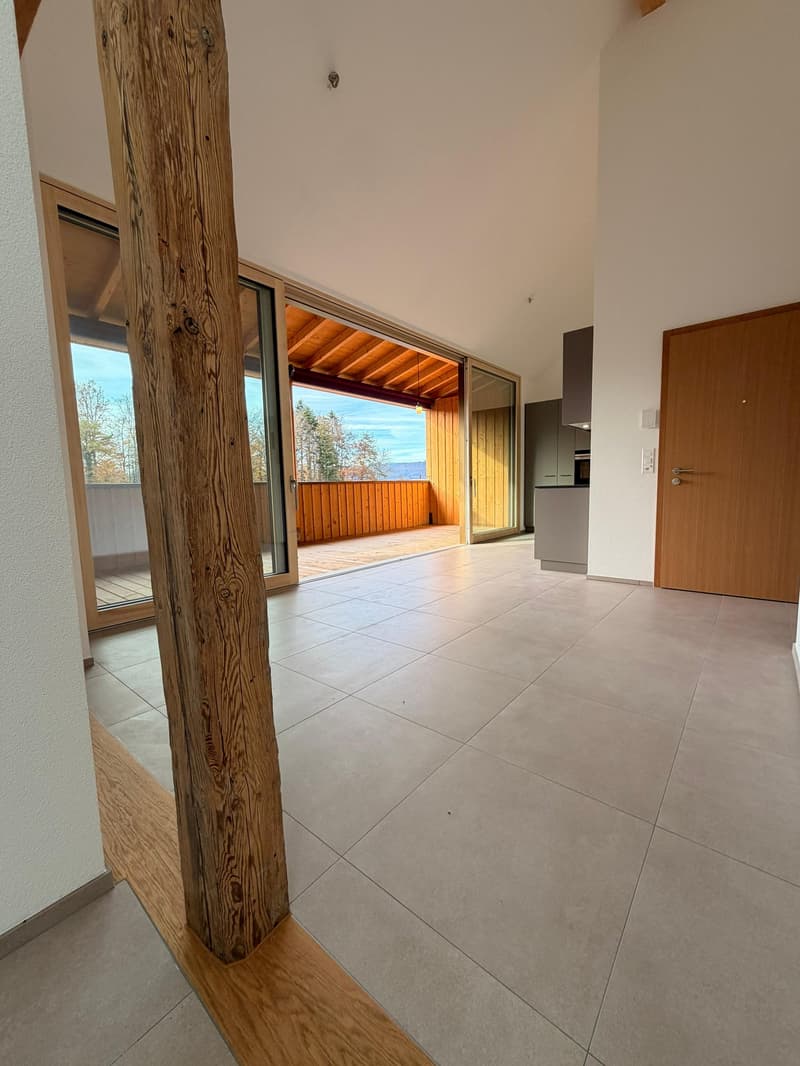 Magnifique appartement de 4 pièces neuf à Châtillon (5)
