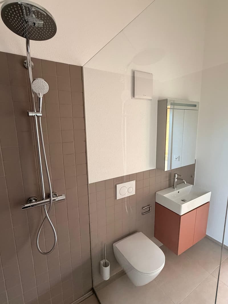 Magnifique appartement de 3.5 pièces neuf à Châtillon (10)