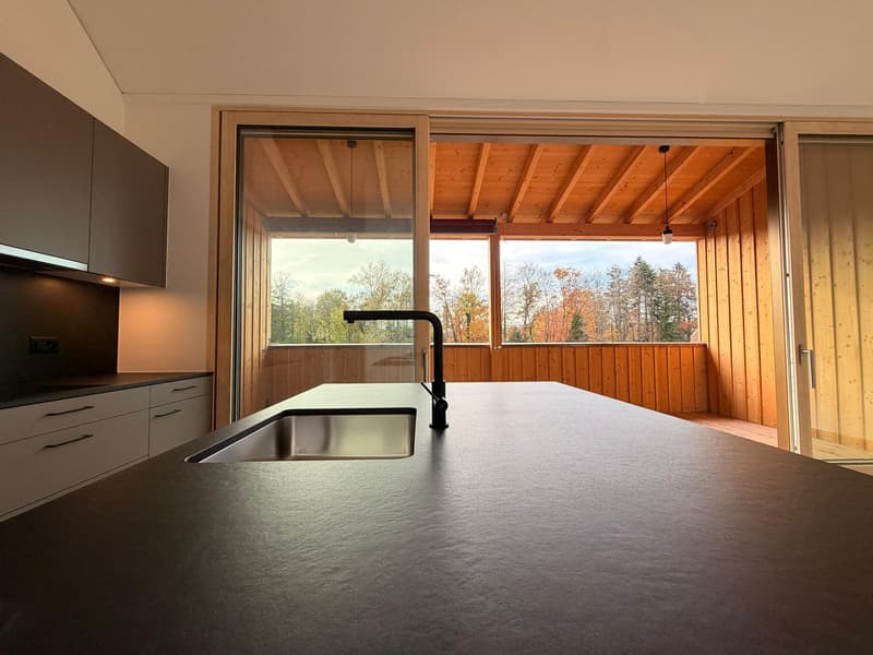 Magnifique appartement de 3.5 pièces neuf à Châtillon (2)