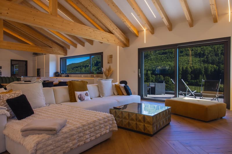 Villa contemporaine de 200 m² - 10 min de Bienne, vue dégagée et finitions haut de gamme (3)