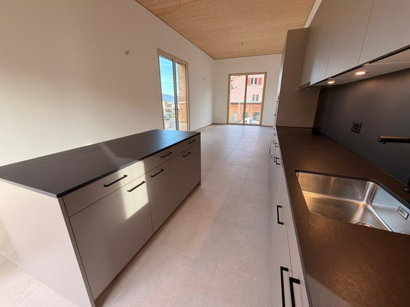 Magnifique appartement de 4,5 pièces neuf à Châtillon (2)