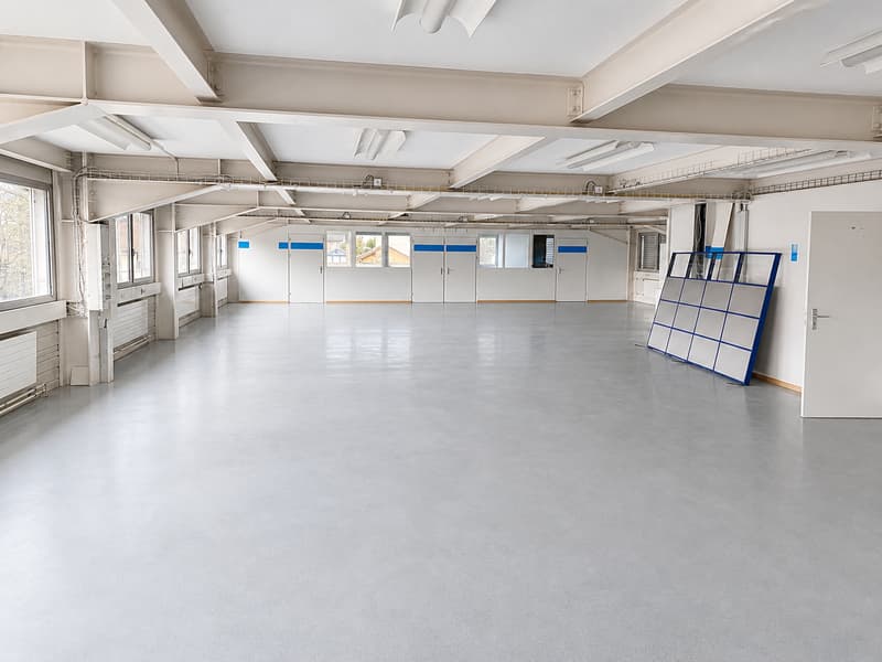 Commercial or industrial space for rent in Orvin, 320m2 (8)