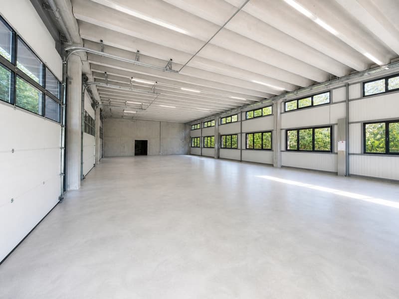 Espace industriel au Landeron - Neuchâtel - RDC - Grande porte (6)
