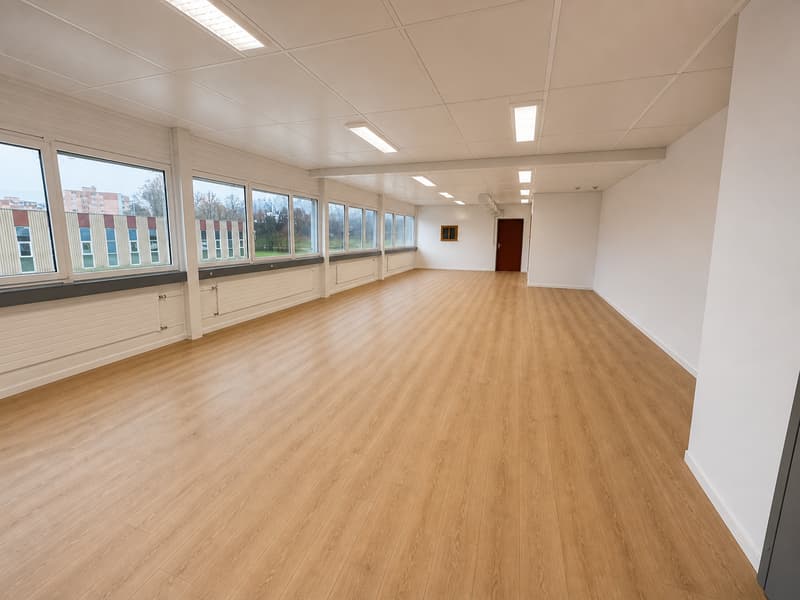 In affitto, 100 m2 Ristrutturato, flessibile per diverse attività professionali o private (2)