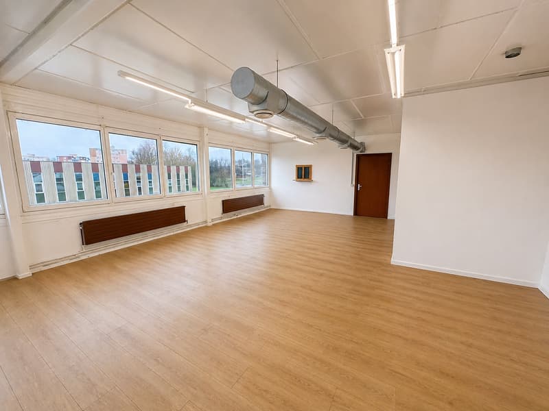In affitto, 100 m2 Ristrutturato, flessibile per diverse attività professionali o private (3)