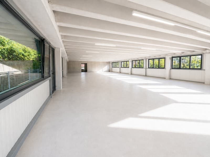 350 m2 of workspace in Landeron, Industrial and Artisanal (3)