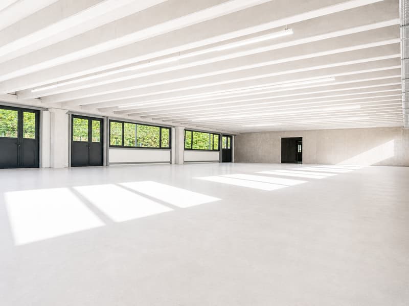 350 m2 of workspace in Landeron, Industrial and Artisanal (6)