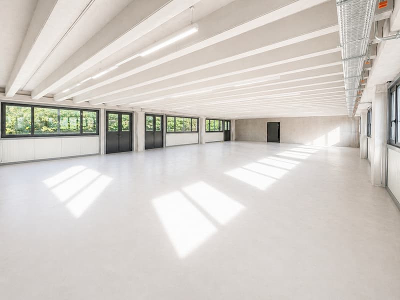 350 m2 of workspace in Landeron, Industrial and Artisanal (5)