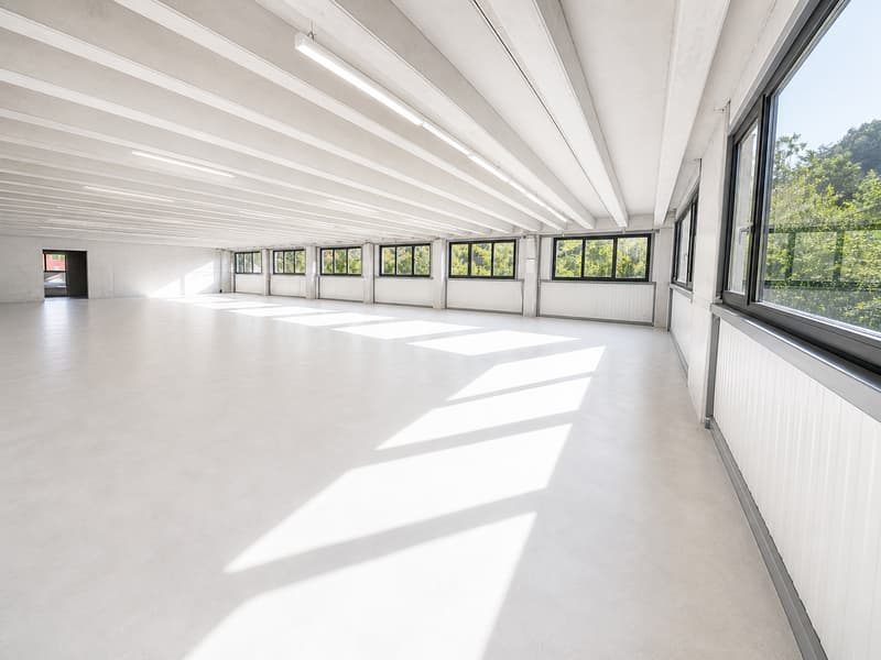 350 m2 of workspace in Landeron, Industrial and Artisanal (4)