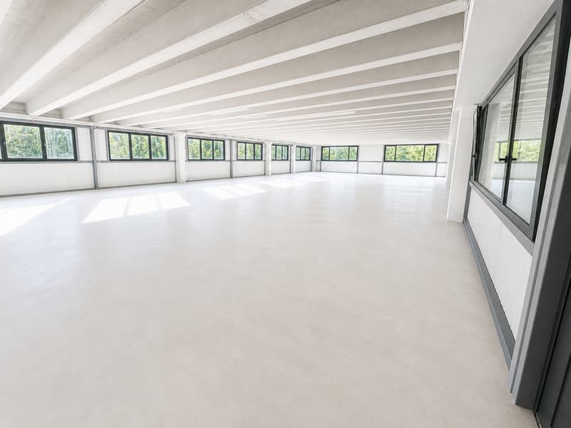 350 m2 of workspace in Landeron, Industrial and Artisanal (2)