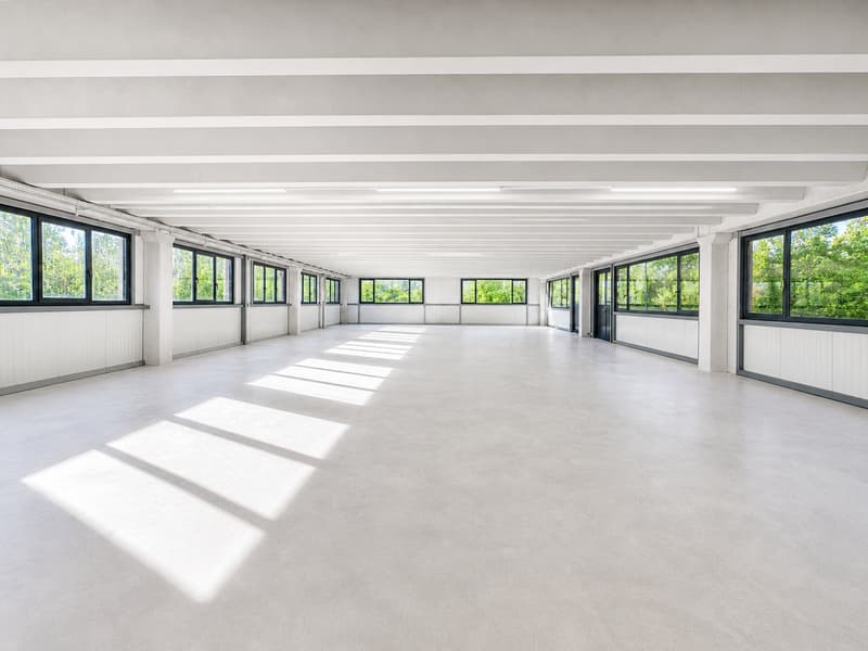350 m2 of workspace in Landeron, Industrial and Artisanal (1)