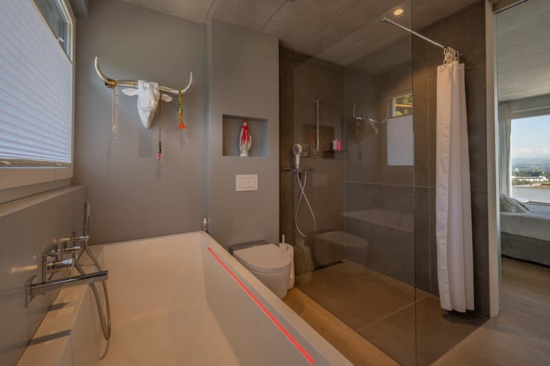 modern bathroom with bathtub, shower, toilet, decorative elements, and a view of the outside