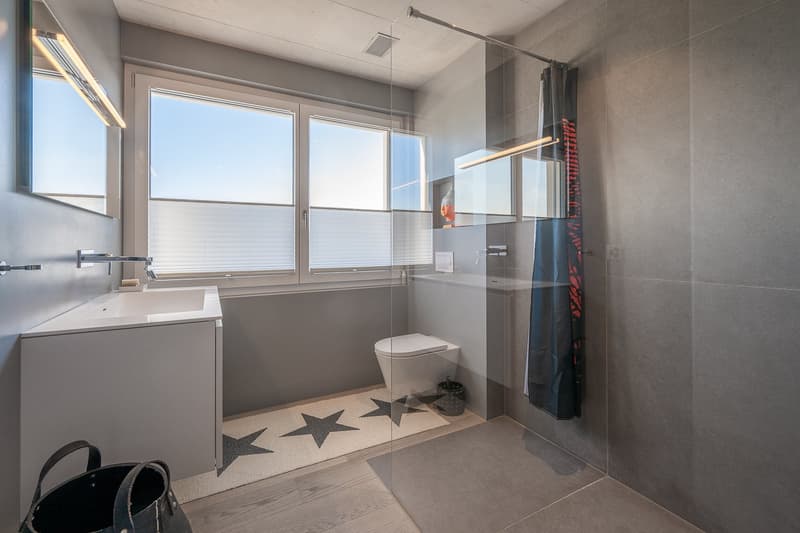 modern bathroom, white sink, white toilet, glass shower enclosure, star rug, mirror, window with blinds