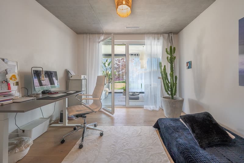 desk, office chair, cactus, rug, bed, lamp, monitor, keyboard, mouse, printer, books, trash bin
