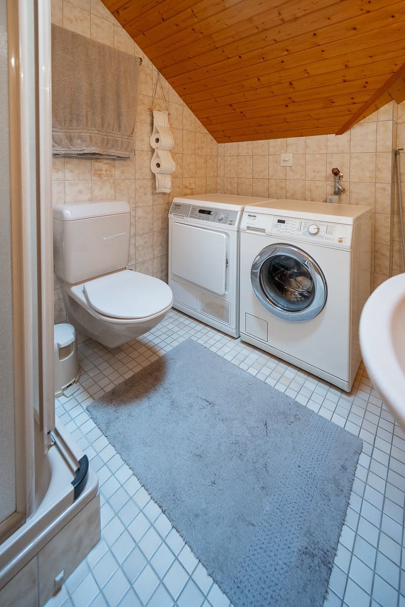 Gäste-WC mit Dusche und Abstellraum
