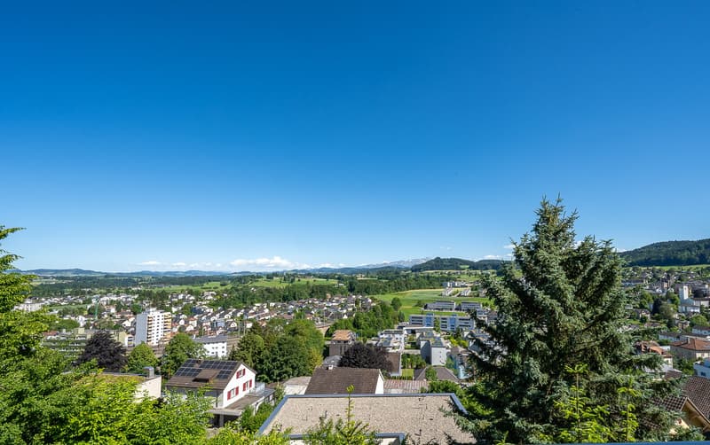 Zweifamilienhaus mit Weitblick auf den Säntis – 1'512 m² Grundstück mit Potenzial (7)