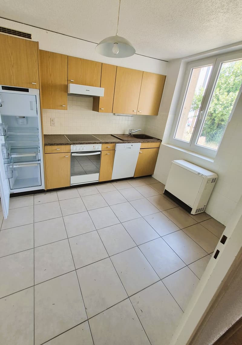Ideal pour un projet de rénovation (2)