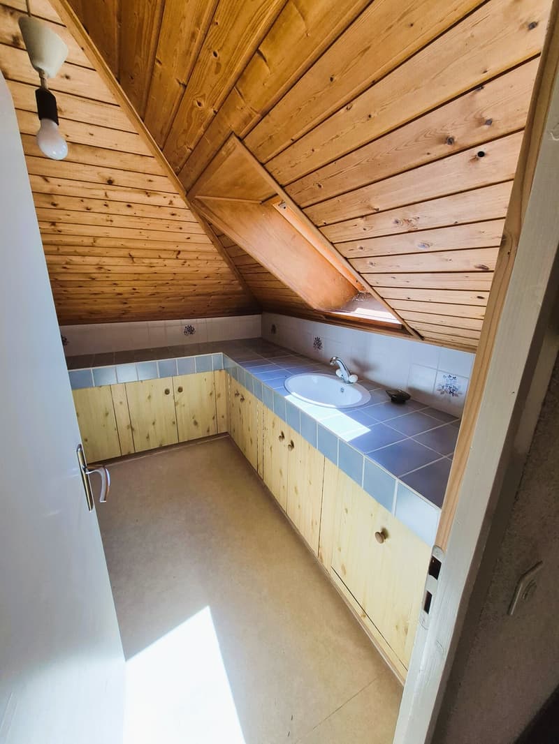 Ideal pour un projet de rénovation (6)