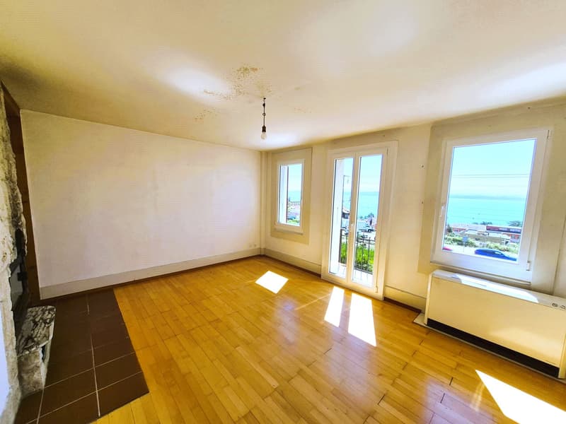 Ideal pour un projet de rénovation (8)