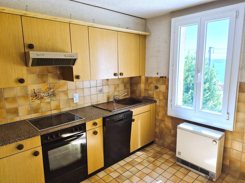 Ideal pour un projet de rénovation (10)