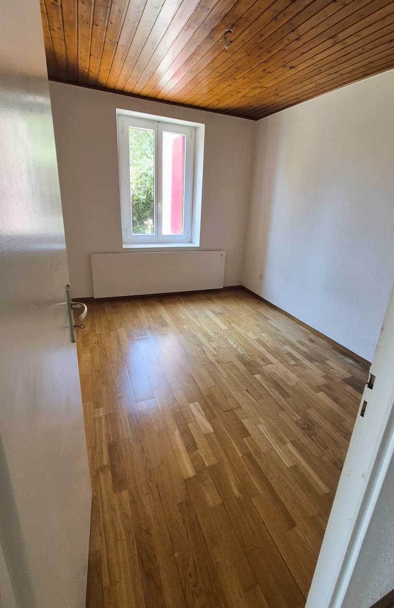 Ideal pour un projet de rénovation (3)