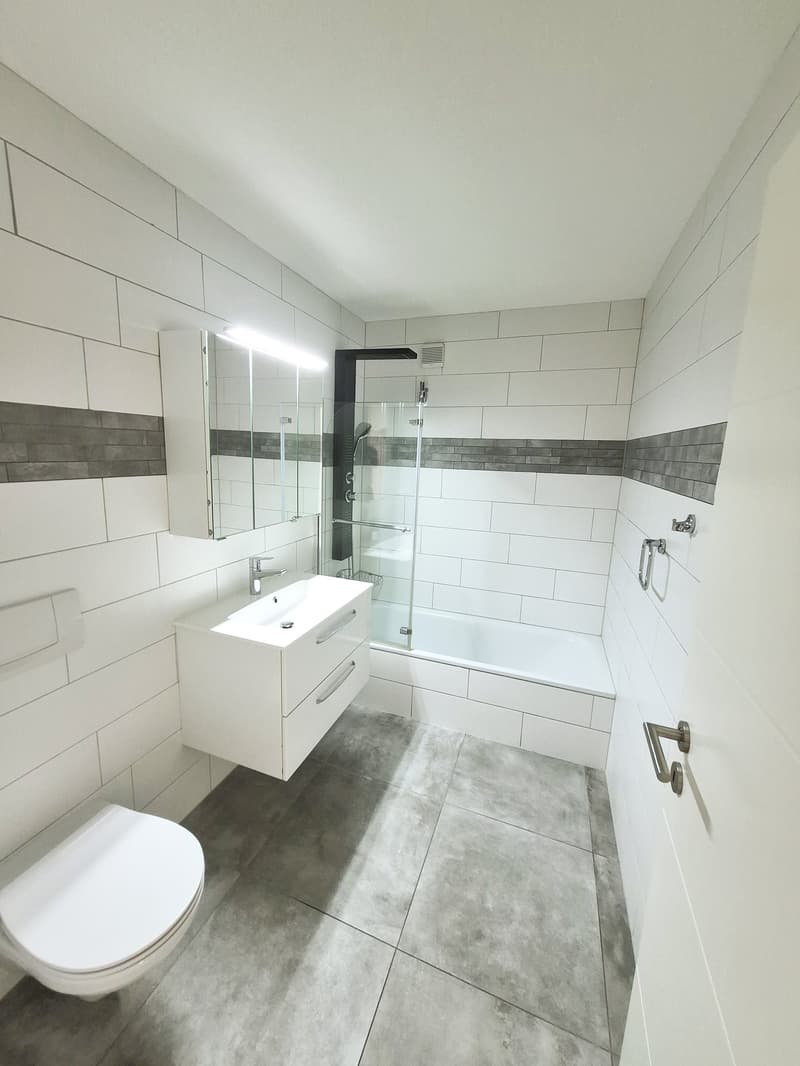 Appartement de charme refait à neuf (3)