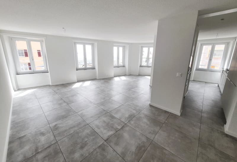Appartement de charme refait à neuf (1)