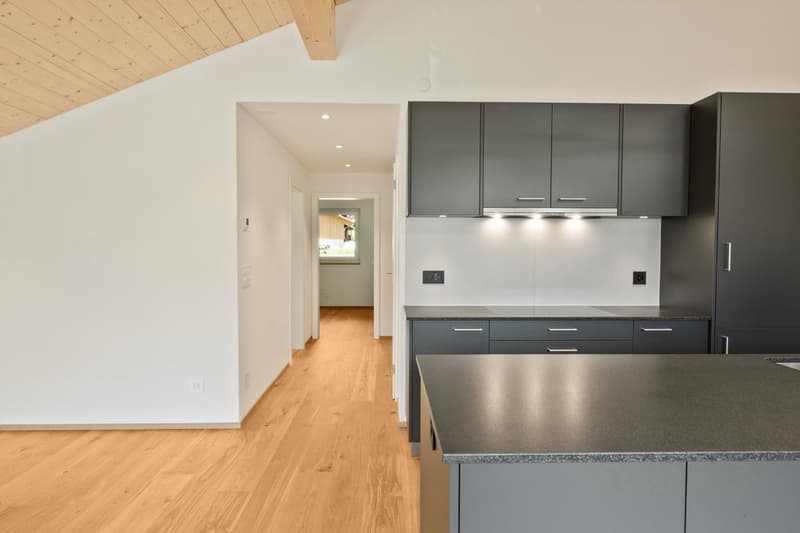 3.5-Zimmer-Dachwohnung mit Bergpanorama (18)