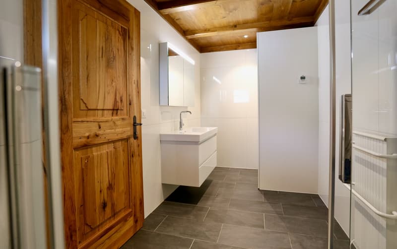 Dusche, WC, Lavabo, Waschmaschine