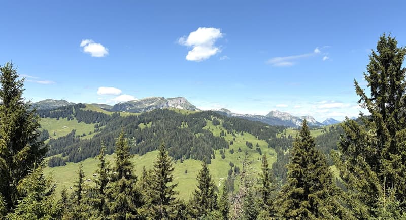 Charmante 3.5-Zimmer-Neubauwohnung mit Bergblick in Habkern (2)