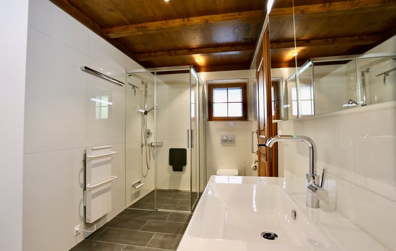 Dusche, WC, Lavabo, Waschmaschine, Handtuchradiator