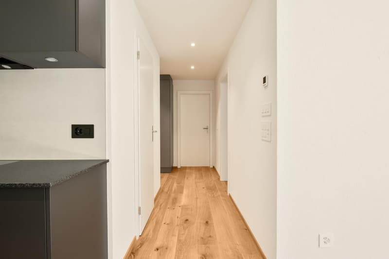 Neubau-Terrassenwohnung mit Bergblick (17)