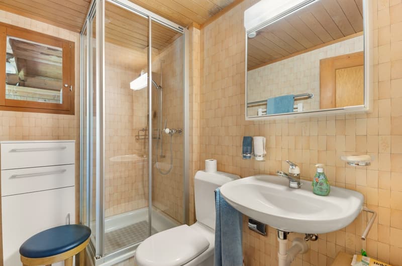 Bauernhaus / Ferienhaus mit separaten Doppelgaragen (36)