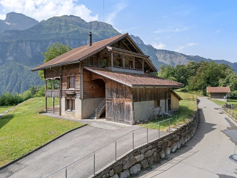Bauernhaus / Ferienhaus mit separaten Doppelgaragen (5)