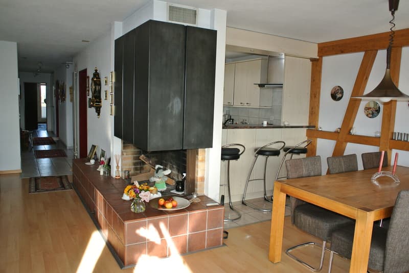 Appartement attique spacieux 5.5 pièces avec vue loin et intimité (8)