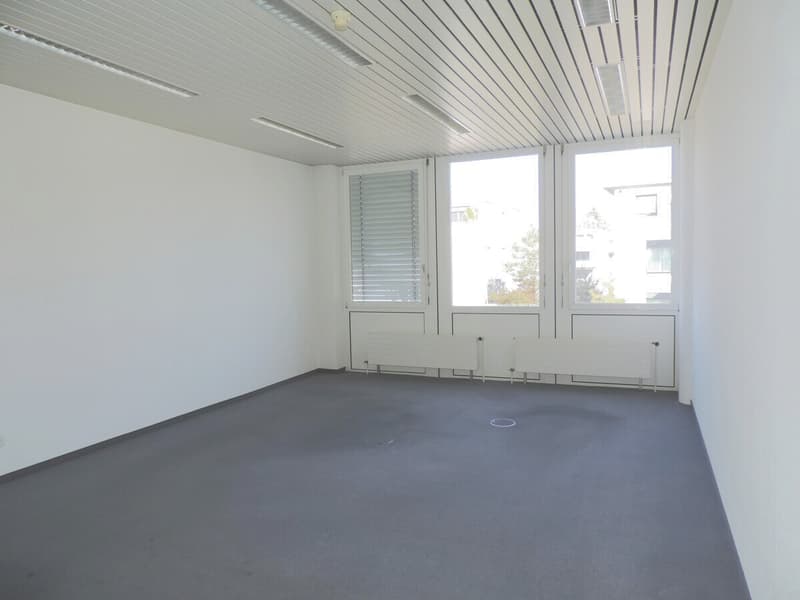 Espaces de bureau et commerciaux attractifs avec connexions optimales (4)