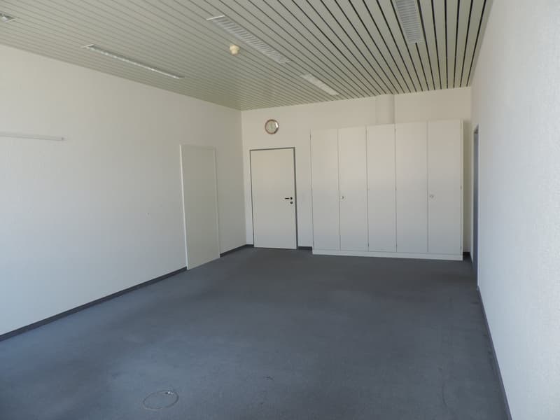 empty room, grey carpet, white walls, gray ceiling, ceiling lights, white closets, entrance door, interior door