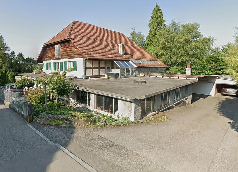 Large 2-family house with mechanical workshop (1)