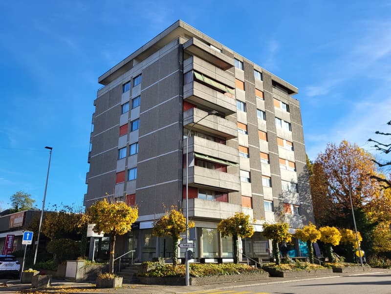 Spacious 5.5-room attic apartment with a great view and privacy (4)