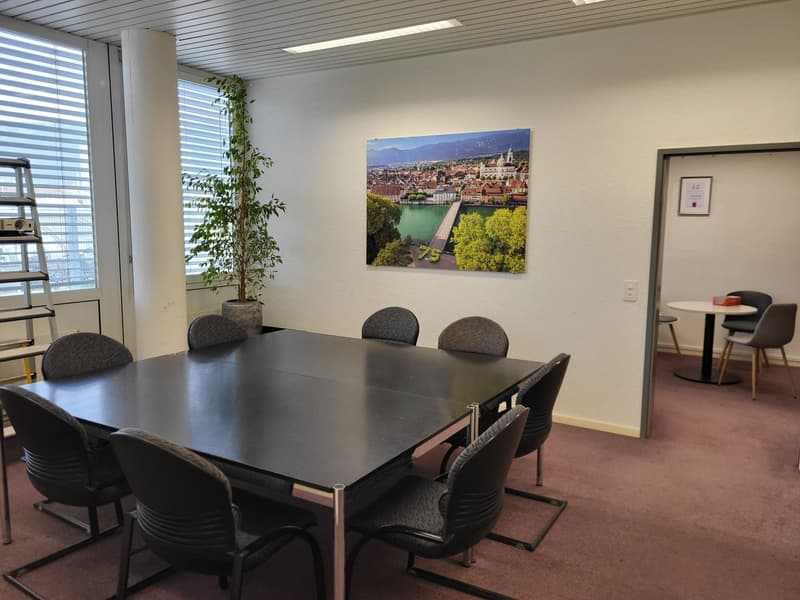 Espaces de bureau et commerciaux attractifs pour les entreprises exigeantes (10)