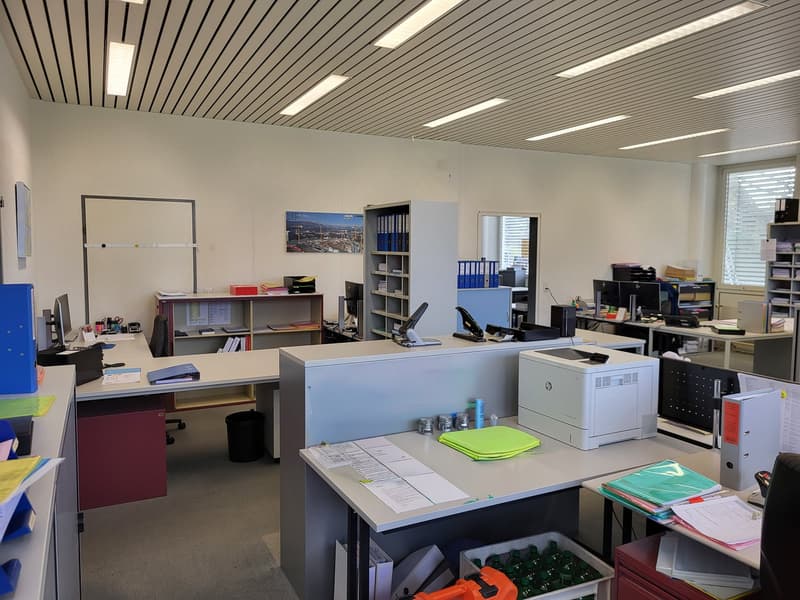 Espaces de bureau et commerciaux attractifs pour les entreprises exigeantes (8)